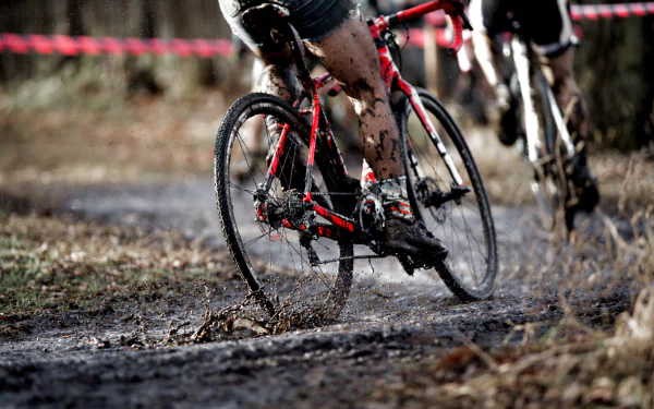Close-up of muddy cyclocross race: racers' legs and red bikes splashing through mud on a forest trail — cycling, sports 2K Quad HD PC desktop wallpaper and background.