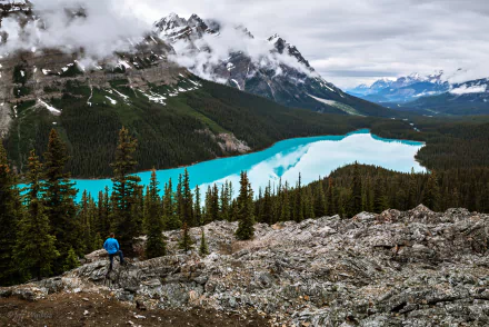 tree earth nature forest lake landscape photography mountain HD Desktop Wallpaper | Background Image