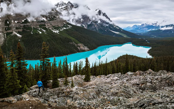 tree earth nature forest lake landscape photography mountain HD Desktop Wallpaper | Background Image