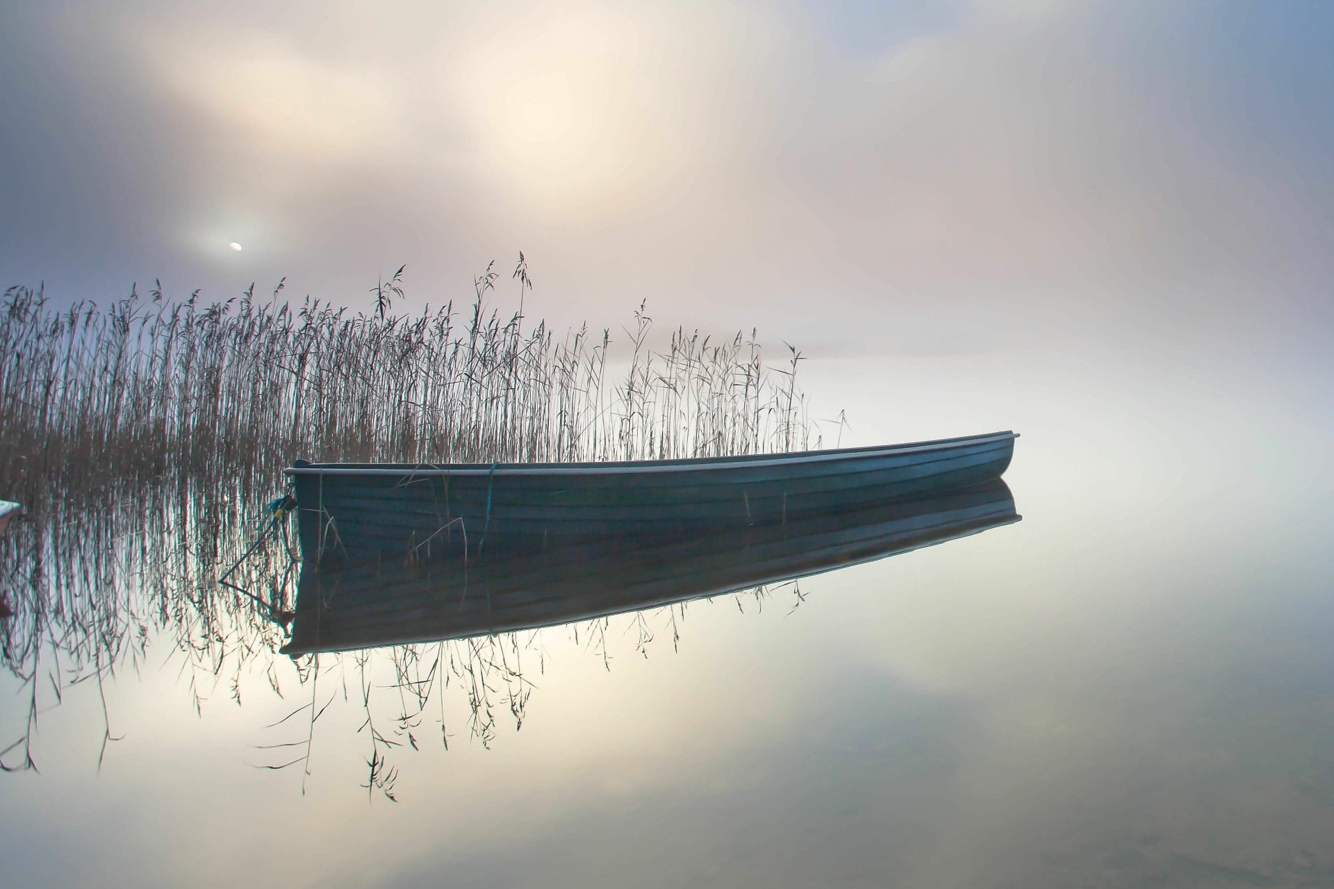 2K Quad HD PC desktop wallpaper: lone boat (vehicle) drifting on mirror-still water by reedbeds, soft pastel mist and muted sunrise light creating a serene, minimalist scene.