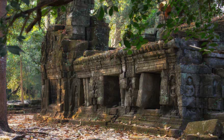  Ta Prohm Temple, Siem Reap, Cambodia