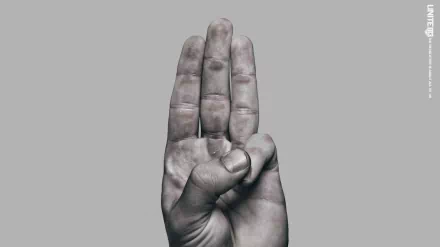Three-finger salute hand on a gray background — The Hunger Games: Mockingjay - Part 2 2K Quad HD PC desktop wallpaper.