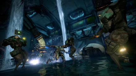 Hydroid