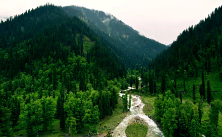 A stunning landscape of Tao-Butt, Kashmir, showcasing a serene river winding through a lush forest, surrounded by majestic mountains in Pakistan. A vibrant nature scene for any desktop background.