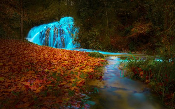 Nature Waterfall Waterfalls Stream Fall Leaf Forest HD Wallpaper | Background Image