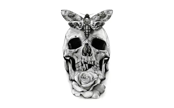 8K Ultra HD PC desktop wallpaper featuring a dark, detailed skull with a moth perched on top and a rose at its base on a clean white background.