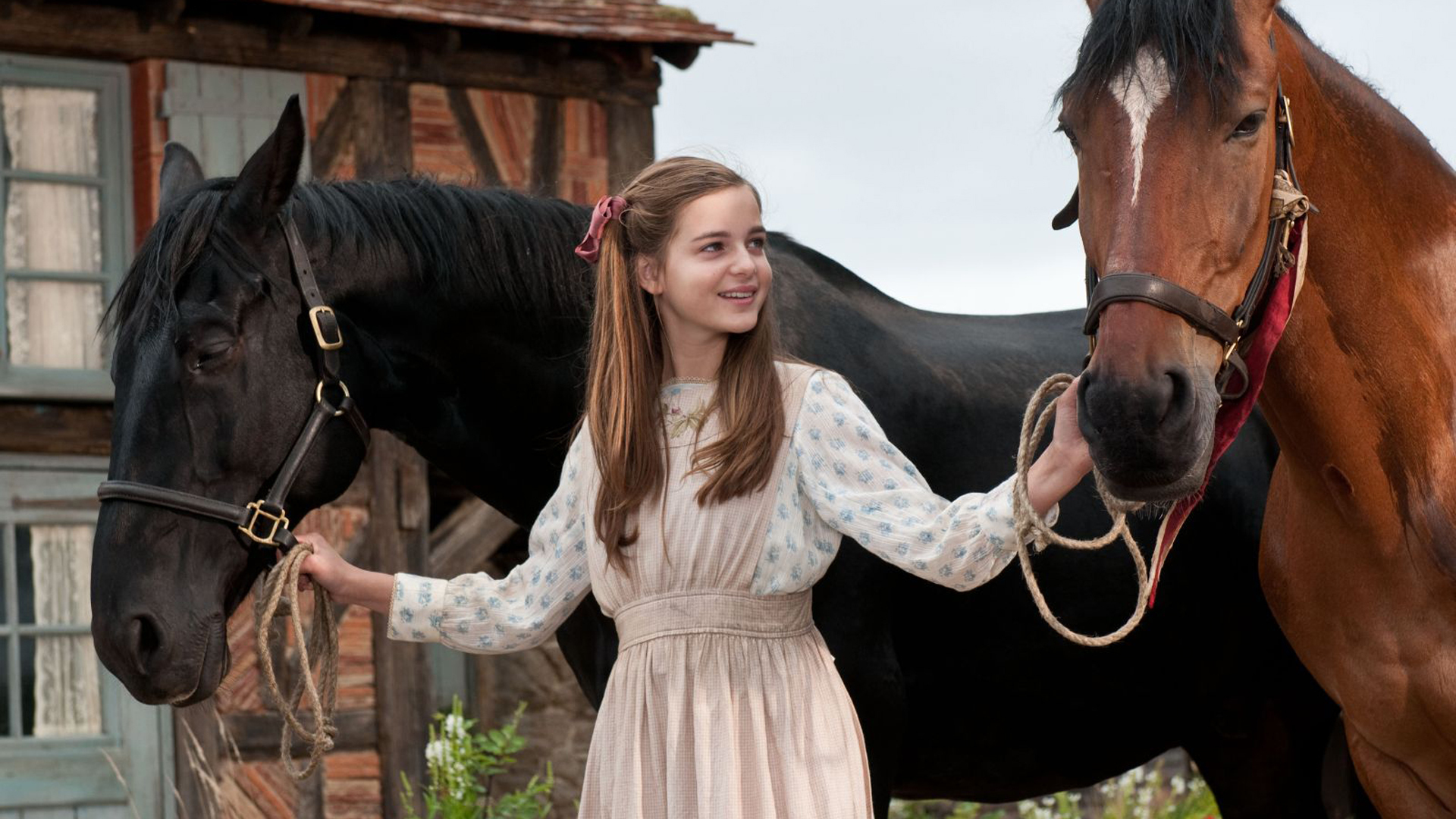 War Horse HD Wallpaper Background Image 1920x1080 war-horse-hd-wallpaper-background-image-1920x1080