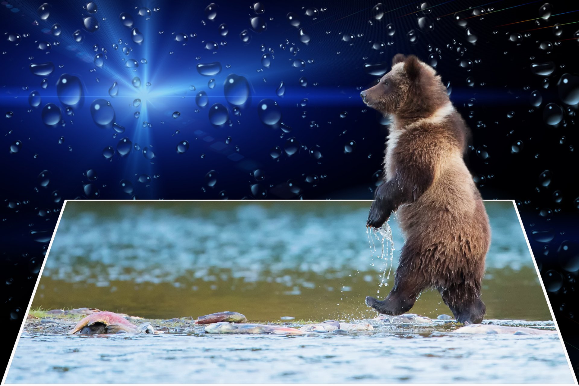 Download Photography Manipulation HD Wallpaper