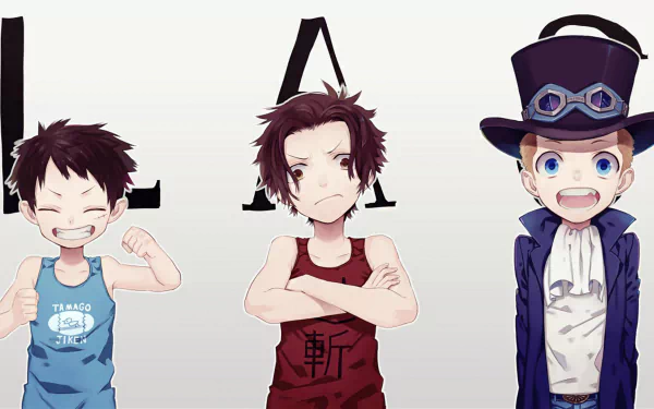 HD desktop wallpaper of the anime One Piece featuring young Sabo, Portgas D. Ace, and Monkey D. Luffy standing in a row with different expressions.