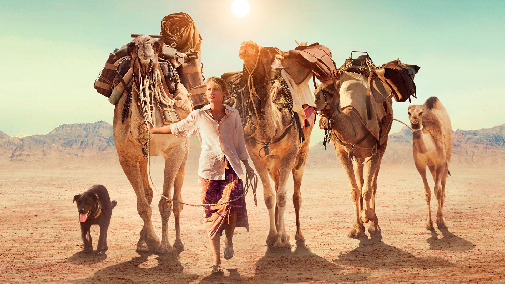 Download Movie Tracks HD Wallpaper