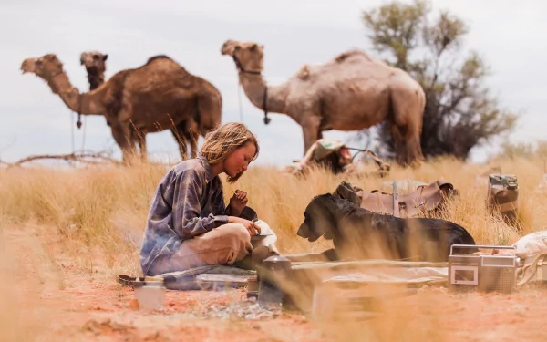 movie tracks HD Desktop Wallpaper | Background Image