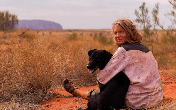 movie tracks HD Desktop Wallpaper | Background Image