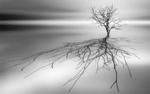 lonely tree shadow nature tree HD Desktop Wallpaper | Background Image