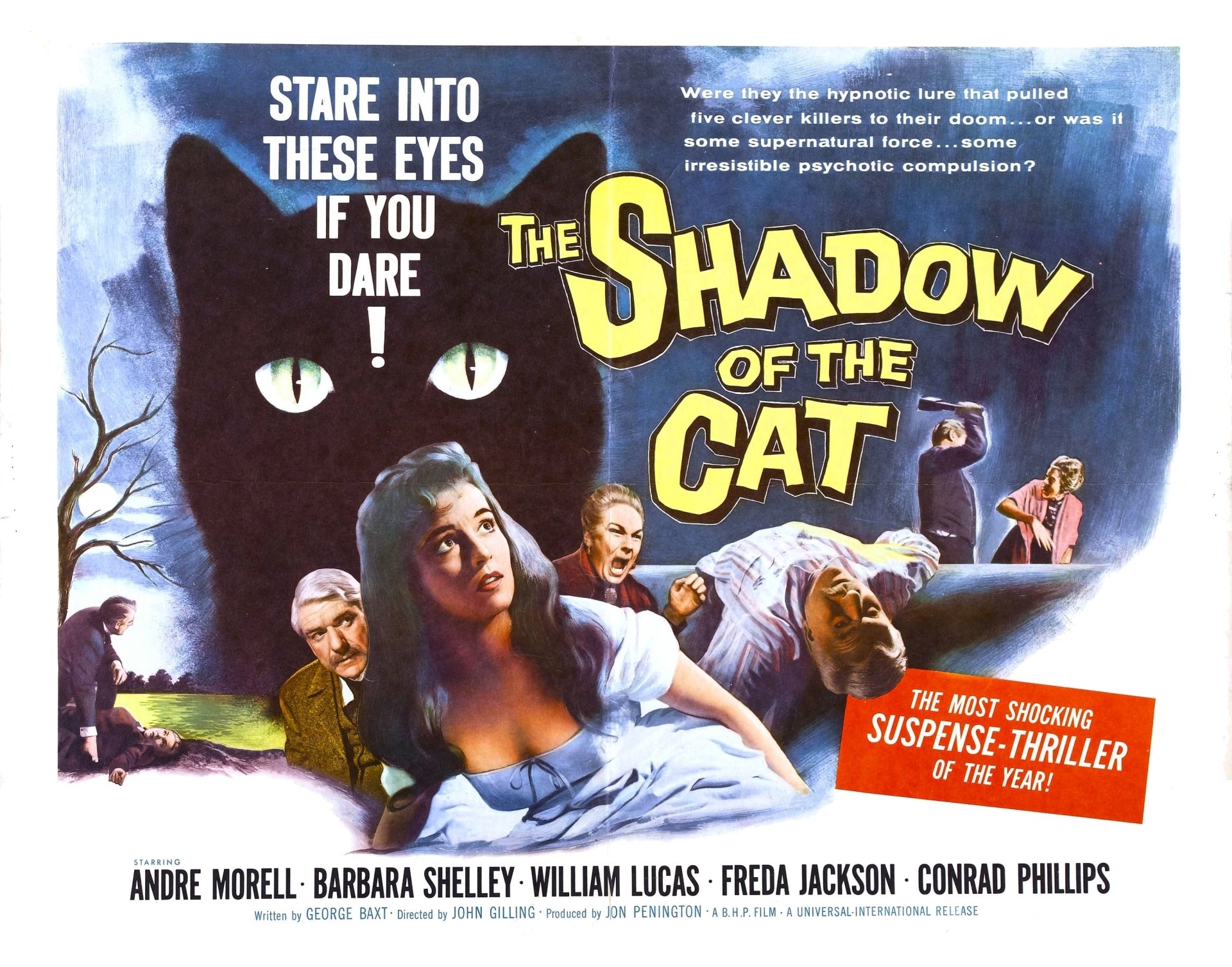 Download Movie The Shadow Of The Cat HD Wallpaper