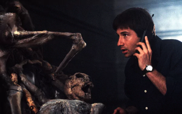 TV Show The X-Files HD Desktop Wallpaper | Background Image