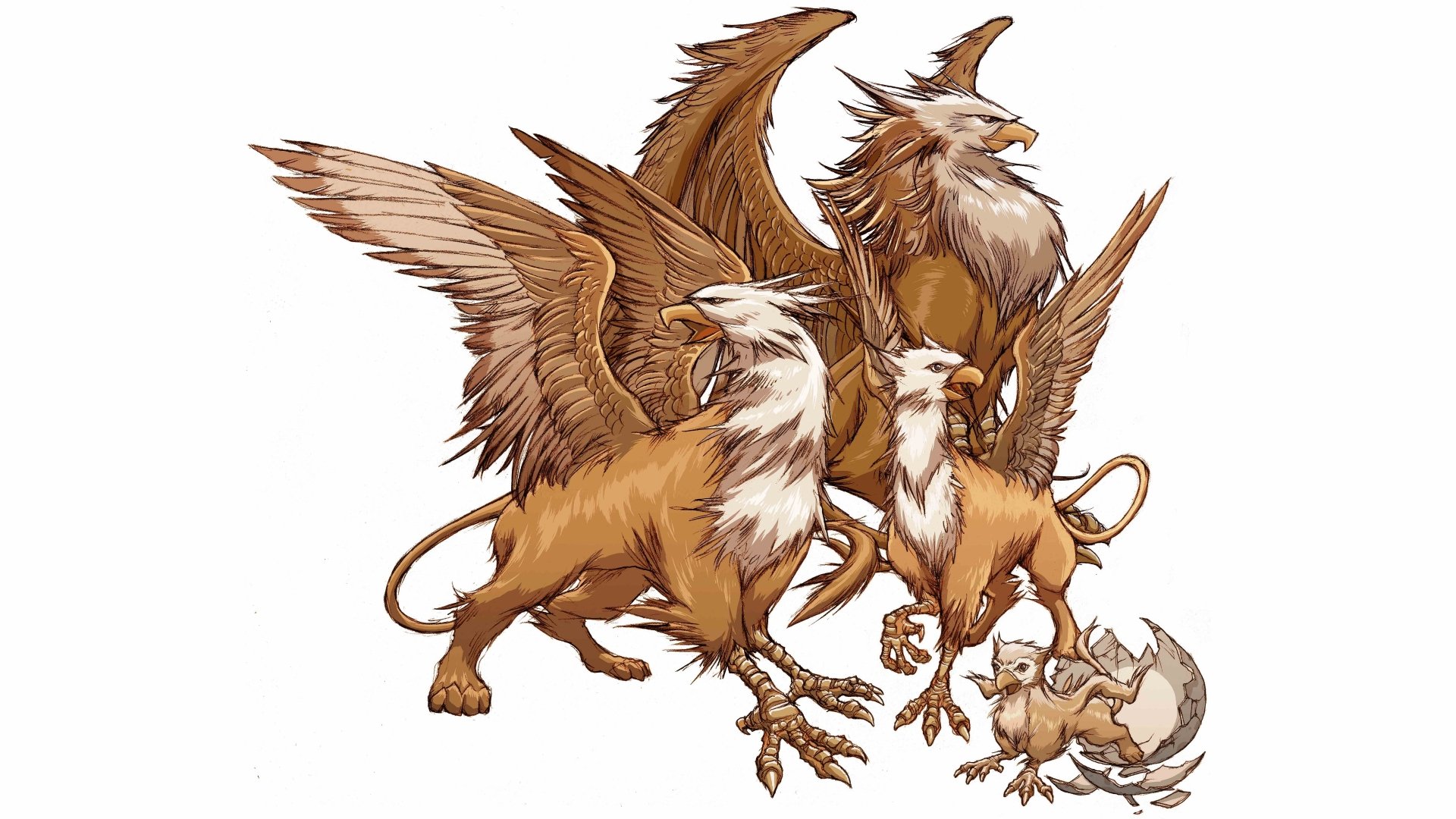 Download Fantasy Griffin 4k Ultra HD Wallpaper