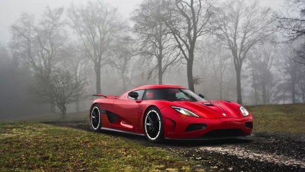 A striking red Koenigsegg Agera parked on a misty path, surrounded by bare trees, creating a dramatic and captivating HD desktop wallpaper.