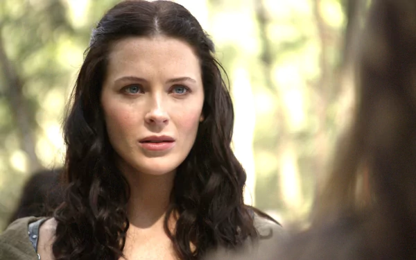 TV Show Legend Of The Seeker HD Desktop Wallpaper | Background Image