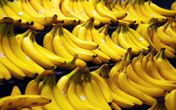 food banana HD Desktop Wallpaper | Background Image
