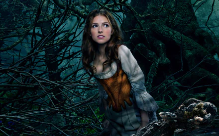 Anna Kendrick movie Into The Woods (2014) HD Desktop Wallpaper | Background Image