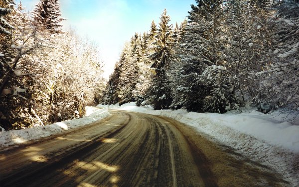 Nature Winter HD Wallpaper | Background Image