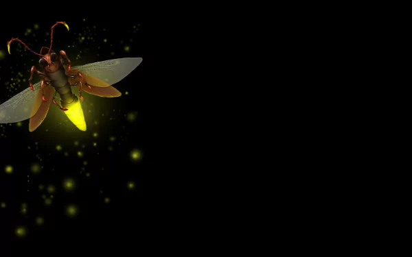 video game N2O HD Desktop Wallpaper | Background Image