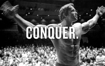 Celebrity Arnold Schwarzenegger HD Desktop Wallpaper | Background Image