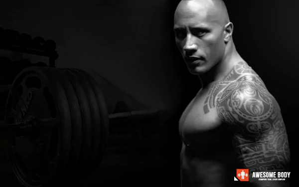 Celebrity Dwayne Johnson HD Desktop Wallpaper | Background Image