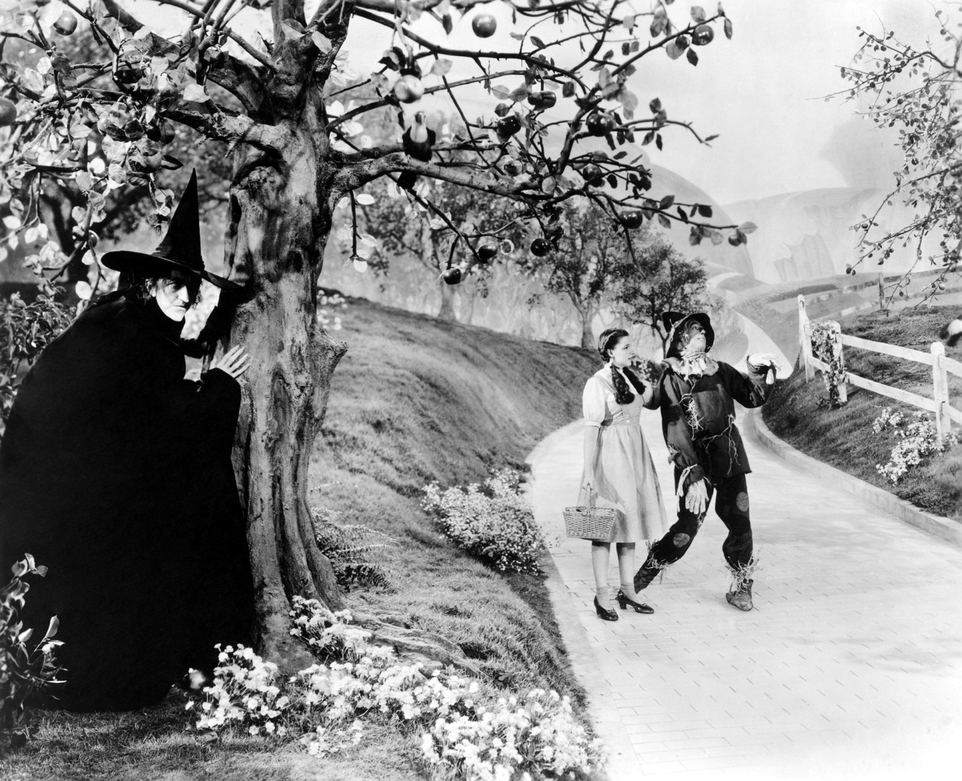 Download Judy Garland Movie The Wizard Of Oz (1939) HD Wallpaper