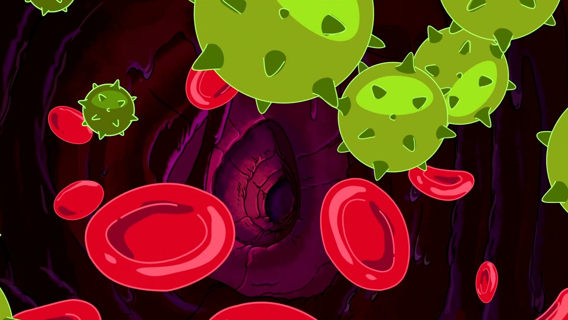 Download Anatomy Park (Rick And Morty) TV Show Rick And Morty HD Wallpaper