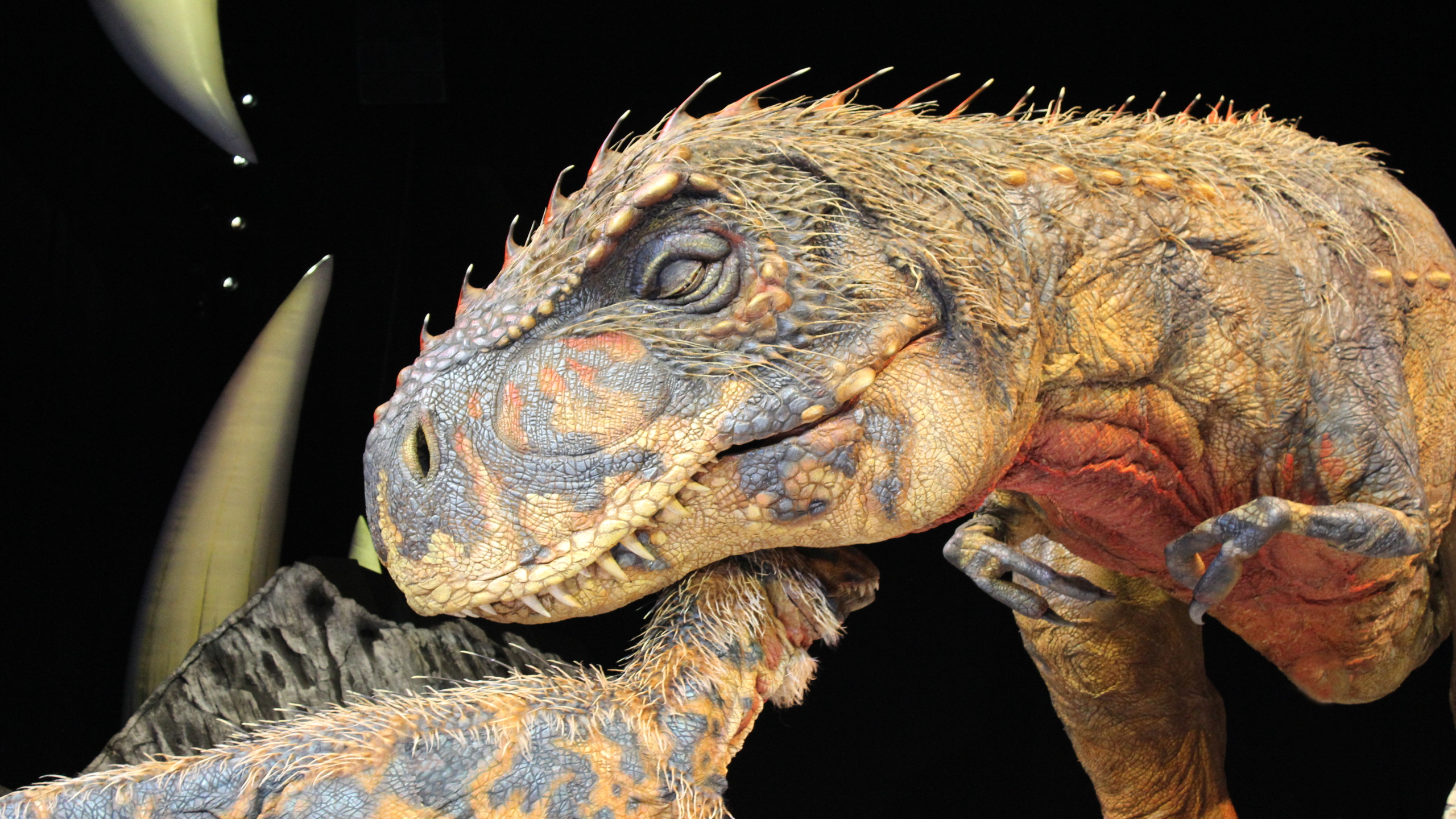  Download Animal Dinosaur HD Wallpaper 