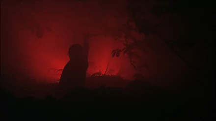 movie Shallow Grave HD Desktop Wallpaper | Background Image