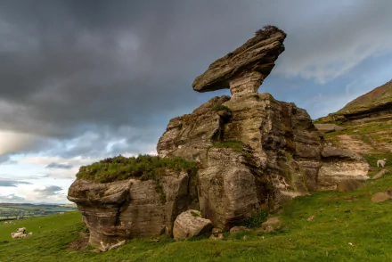 nature Bunnet Stane HD Desktop Wallpaper | Background Image