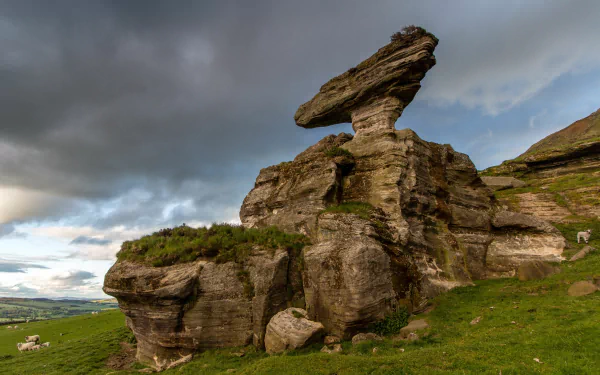 nature Bunnet Stane HD Desktop Wallpaper | Background Image