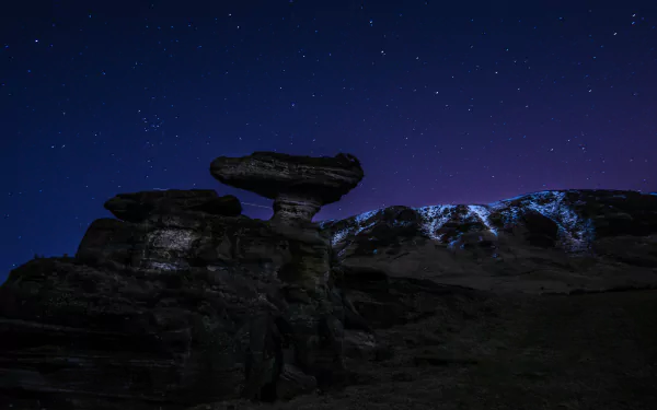 nature Bunnet Stane HD Desktop Wallpaper | Background Image