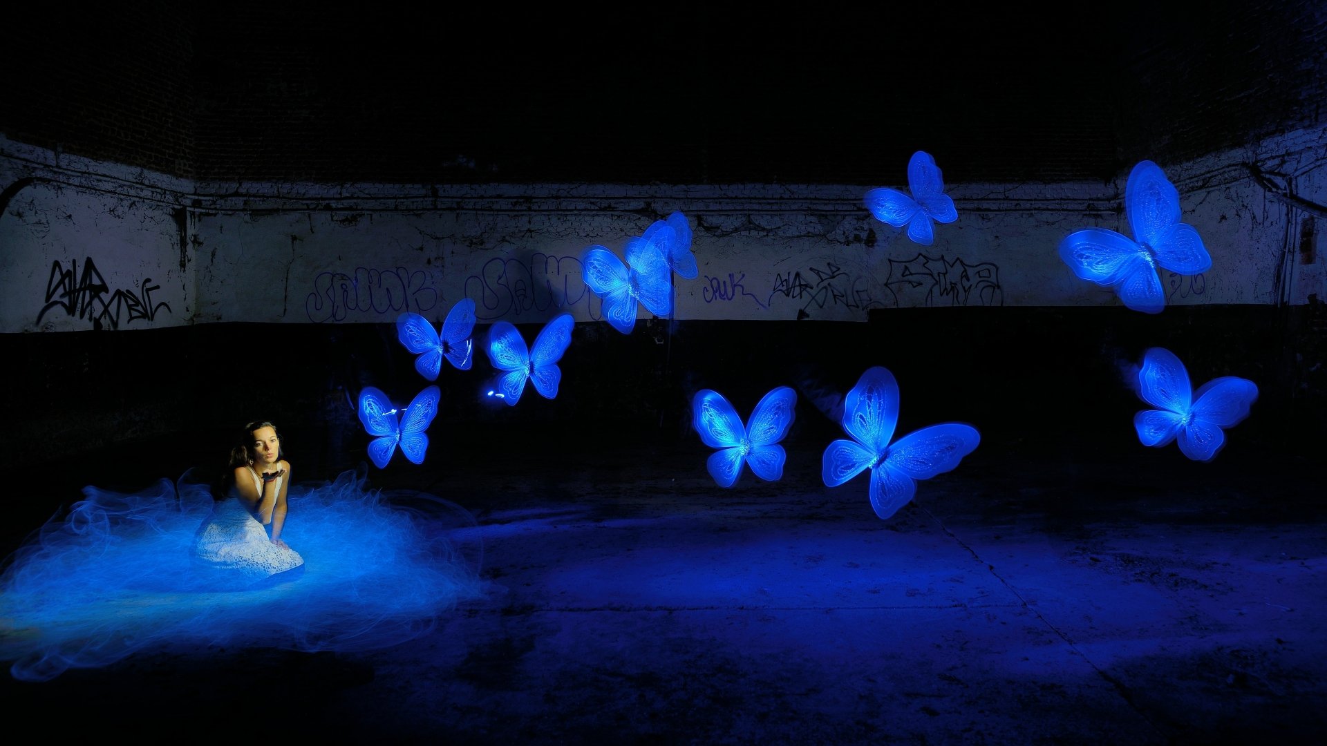 Синяя бабочка в темноте