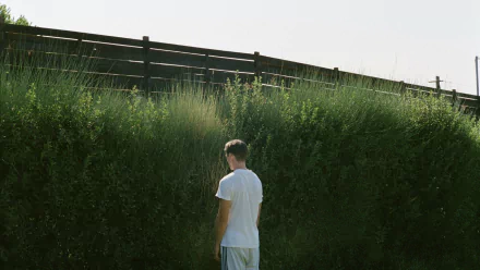 movie Dogtooth HD Desktop Wallpaper | Background Image