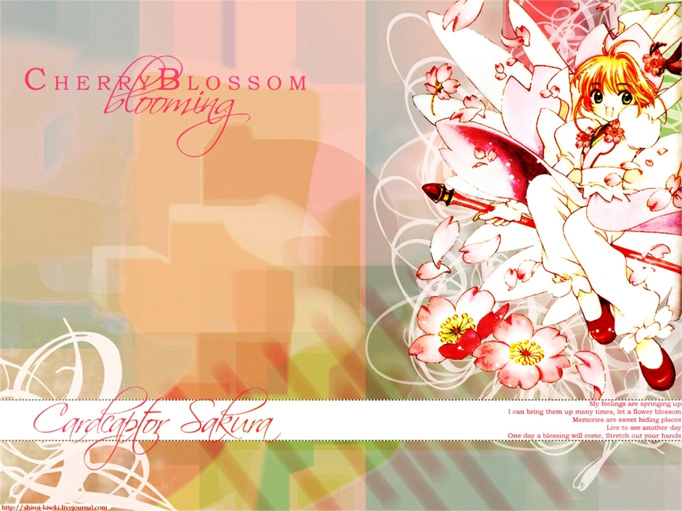 Download Anime Cardcaptor Sakura Wallpaper