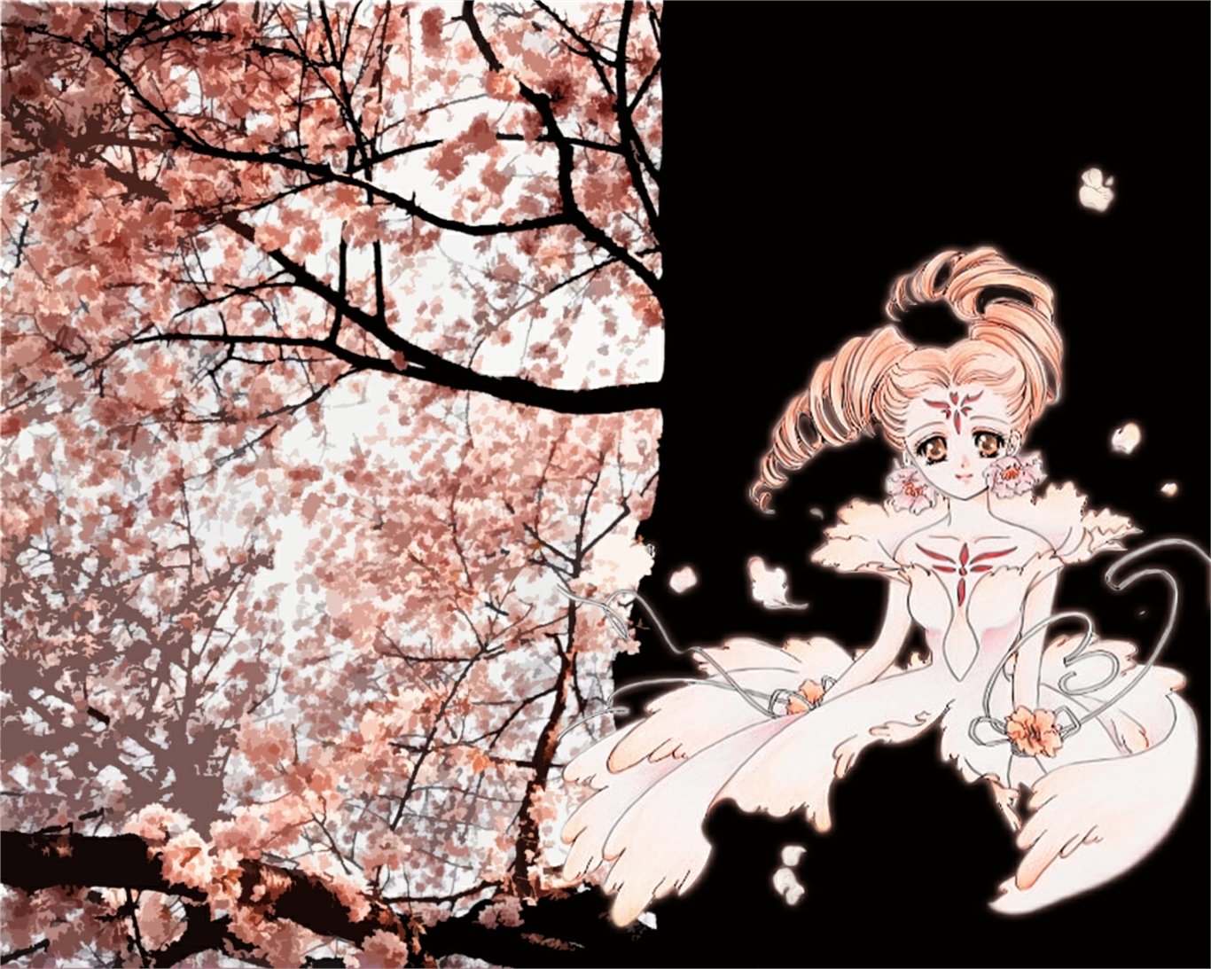 Download Anime Cardcaptor Sakura Wallpaper