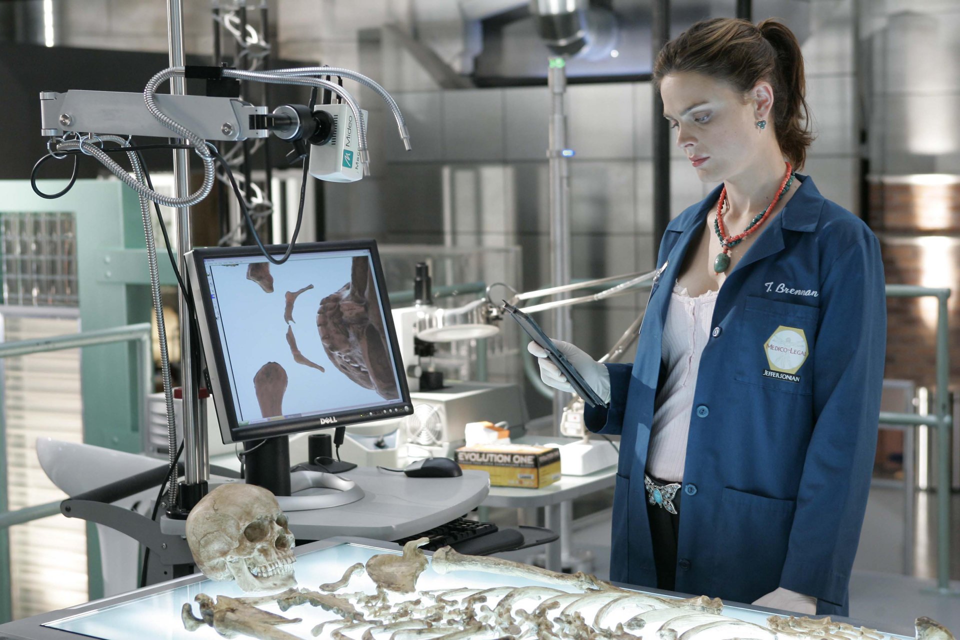 Download Emily Deschanel Temperance Brennan TV Show Bones 4k Ultra HD  Wallpaper