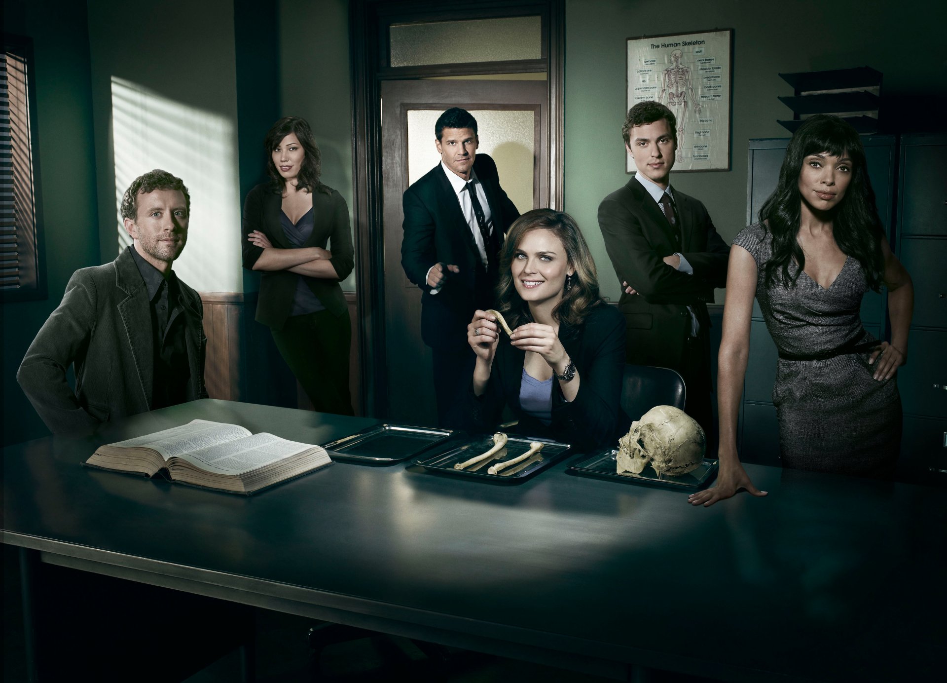 Download Lance Sweets John Francis Daley Camille Saroyan Tamara Taylor Jack Hodgins T.J. Thyne Angela Montenegro Michaela Conlin Seeley Booth David Boreanaz Emily Deschanel Temperance Brennan TV Show Bones (TV Show) 4k Ultra HD Wallpaper