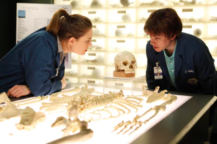Zack Addy Eric Millegan Emily Deschanel Temperance Brennan TV Show Bones (TV Show) HD Desktop Wallpaper | Background Image