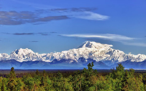 Snow-capped Mount McKinley rises above the lush green forest in Denali National Park, Alaska, captured in vivid 4K Ultra HD detail.