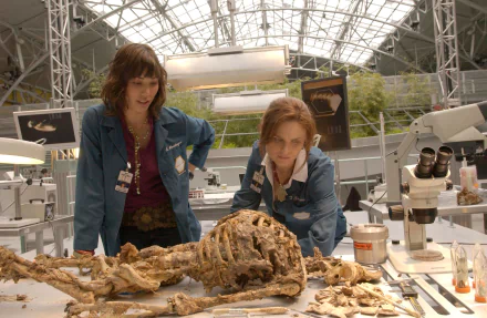 Angela Montenegro Michaela Conlin Emily Deschanel Temperance Brennan TV Show bones HD Desktop Wallpaper | Background Image