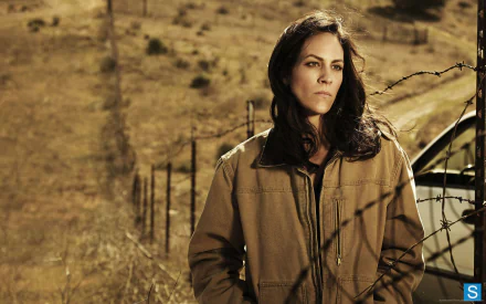 TV Show The Bridge (2011) HD Desktop Wallpaper | Background Image