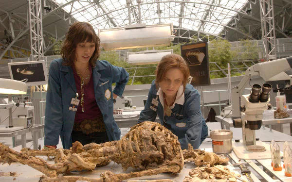 Angela Montenegro Michaela Conlin Emily Deschanel Temperance Brennan TV Show bones HD Desktop Wallpaper | Background Image