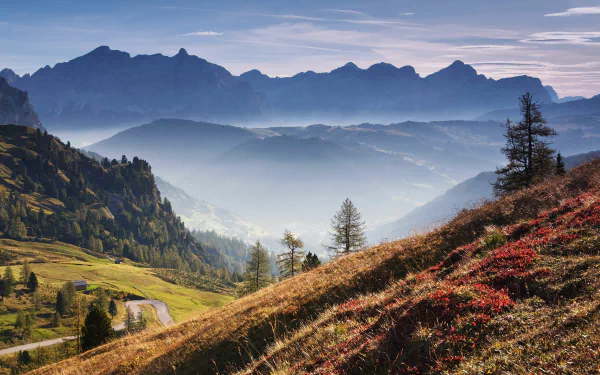 nature fog HD Desktop Wallpaper | Background Image