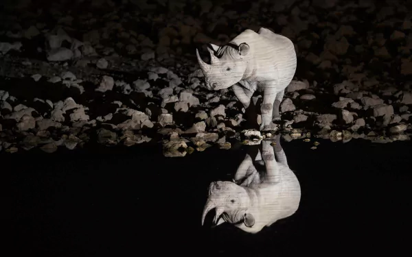 4K Ultra HD PC desktop wallpaper background: white rhino at night beside a still waterhole, its clear reflection mirrored on black water against a rocky shore.