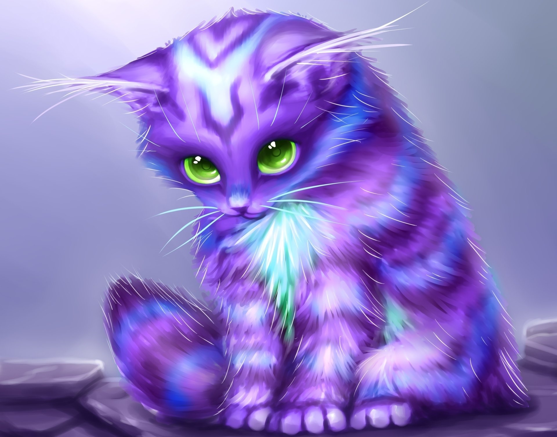 lilac cat