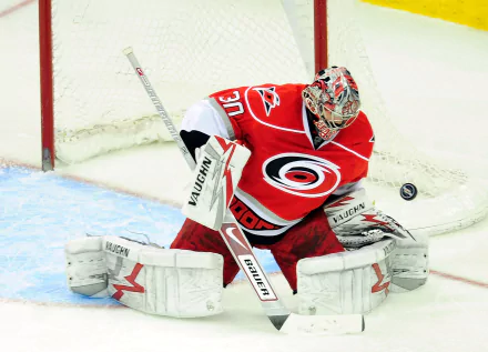 Carolina Hurricanes Sports HD Desktop Wallpaper | Background Image